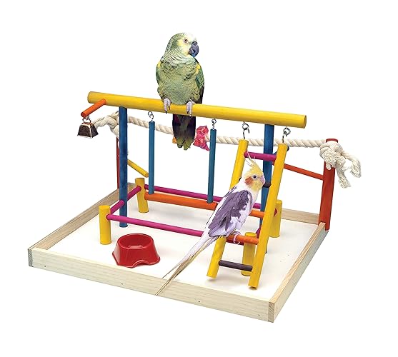 Penn-Plax Bird Life Wooden Playpen – Perfect for Sun Conures, Ring Necks, and Similar Sized Parrots – Extra-Large - Extra Large
