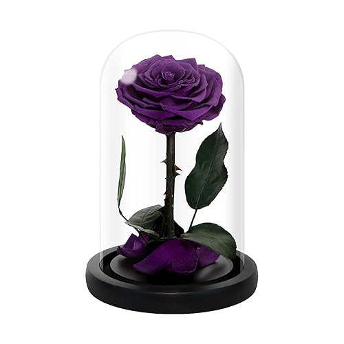 NATROSES Mothers Day Flowers Purple Roses for Mom, Handmade Preserved Roses in Glass Dome, Long lasting Purple Roses Real, Glass Rose for Valentines Day, Christmas, Birthday, Anniversary, Thanksgiving - PURPLE - Medium