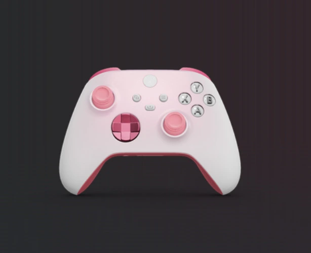 Costum Xbox Controller
