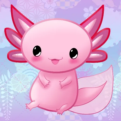 Help with Vet Bills 20€