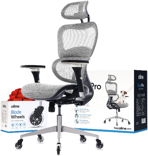 ErgoPro Ergonomic Office Chair | Grey