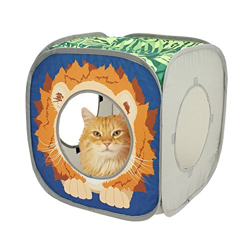 Kitty City Safari Cat Cube