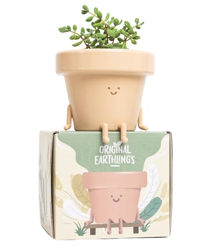 Original Earthlings Sitting Pot, Cute Plant Pot, 3.5 Inch Plastic Funny Planter with Drainage, Unique Cactus Plant Lover Gift, Small Succulent Face Flower Pot, Fun Teacher Appreciation Gift - Sitting