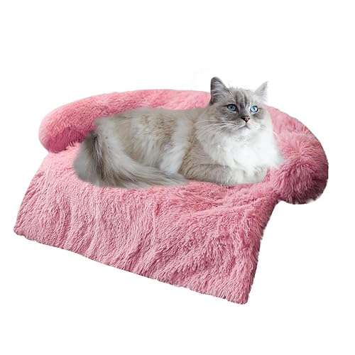 Comfy Cat Bed