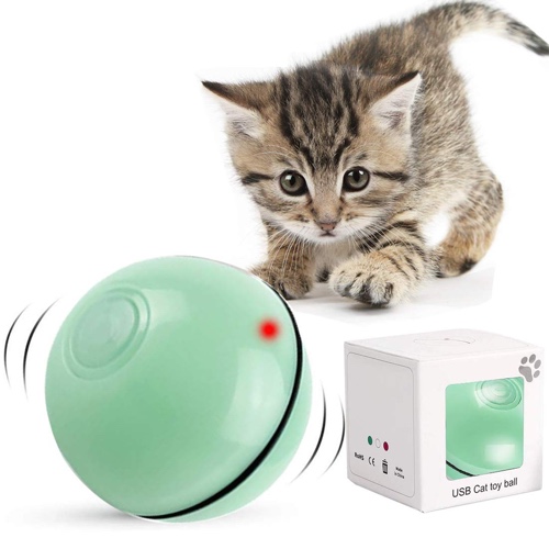 Cat toy self rolling ball