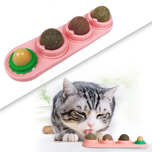 Catnip toy