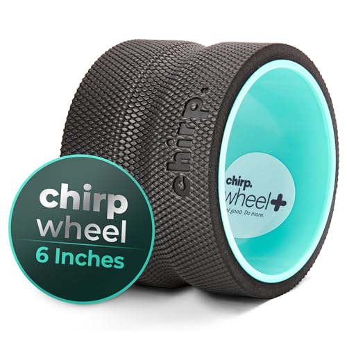 Chirp Wheel Foam Roller - Targeted Muscle Roller for Deep Tissue Massage, Back Stretcher with Foam Padding, Supports Back Pain Relief - Mint - 6" - Deep Tissue