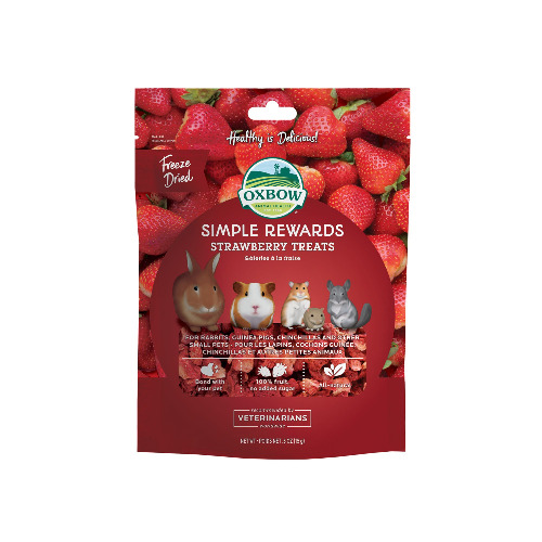Oxbow Simple Rewards Freeze Dried Small Pet Treats - Strawberry
