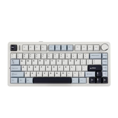 EPOMAKER x Aula F75 Gasket Mechanical Keyboard, 75% Wireless Hot Swappable Gaming Keyboard with Five-Layer Padding&Knob, Bluetooth/2.4GHz/USB-C, RGB (Light Blue, LEOBOG Reaper Switch) - LEOBOG Reaper Switch - Light Blue