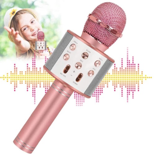 DigitCont Bluetooth Karaoke Wireless Microphone, Portable Handheld Karaoke Mic, Speaker Machine, Player Recorder with Adjustable Remix FM Radio, Christmas Birthday Home Party for Kids Adults