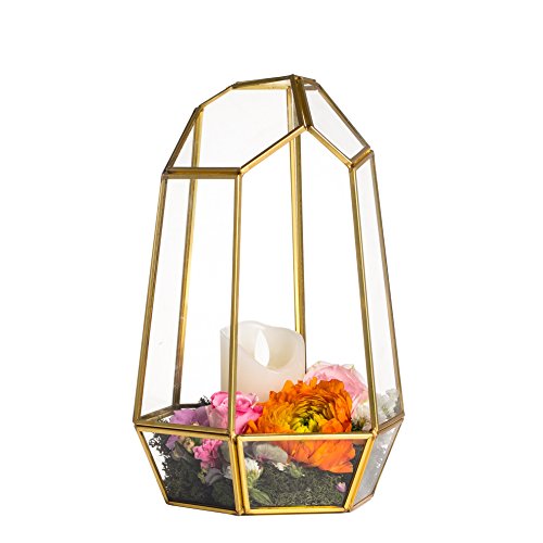 NCYP Gold Geometric Glass Terrarium - Handmade Irregular Brass Planter Pot for Succulent Air Plants - Home Miniature Fairy Garden Decor, Centerpiece - 6.5x5.7x9.8 Inches (No Plants, NO Door) - Large Gold - Glass