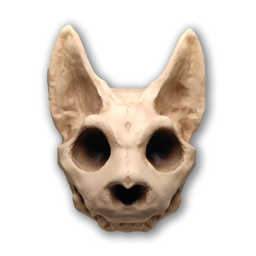 Scruffy Bumps Palm Skull | Default Title