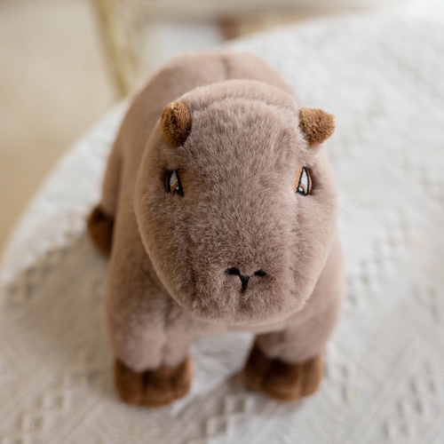 Capybara Plush