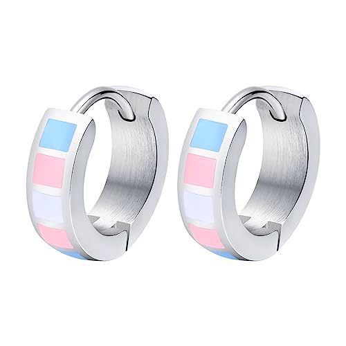 Nanafast Stainless Steel Rainbow Huggie Hoop Earrings LGBT Pride Earrings for Women Men Lesbian Bisexual Transgender Nonbinary Asexual Flag Earrings LGBTQ Pride Jewelry Gifts - Transgender