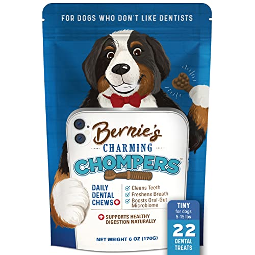 Bernie's Charming Chompers - Daily Dental Chews for Dogs 5-15 Lbs. - 22 Count - Cleans Teeth, Freshens Breath, Boosts Oral-Gut Microbiome. Easy to Digest, Supports Healthy Digestion Naturally - 22 Count (Pack of 1) - Tiny Dogs (5-15lb)