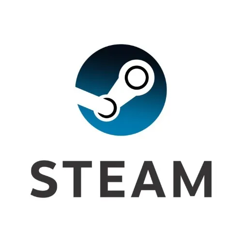 STEAM VIDEO GAME
