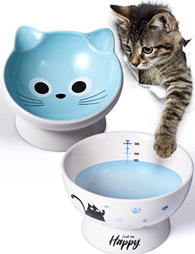 AISBUGUR Ceramic Cat Bowls Raised Cat Food Bowl 15° Tilted Protect Cat's Spine, Stress Free, Prevent Vomiting, Cat Dishes for Food and Water Set of 2,Blue - Blue (Male Cat)