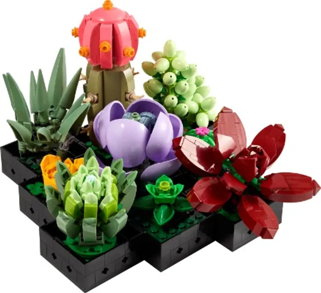 Succulents 10309 | LEGO® ICONS™ | Buy online at the Official LEGO® Shop US 