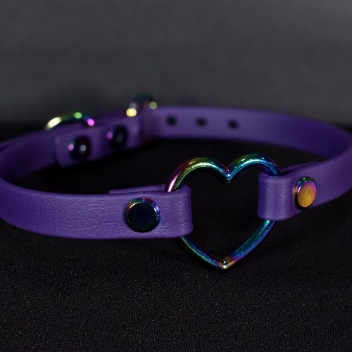 Biothane Rainbow Purple Heart Choker