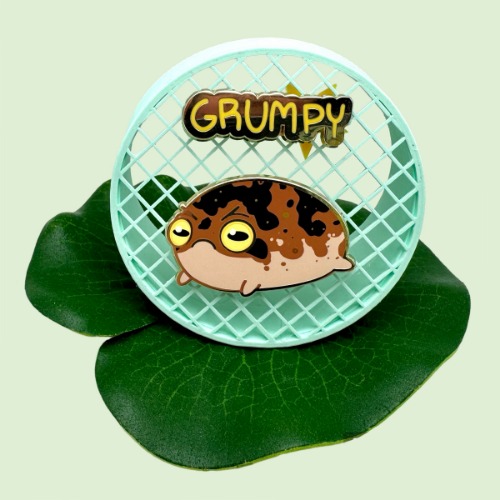 Grumpy Rain Frog Pin Set - A Grade