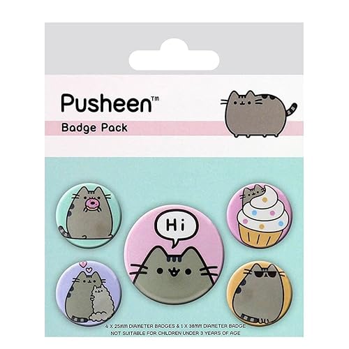 Pusheen pins