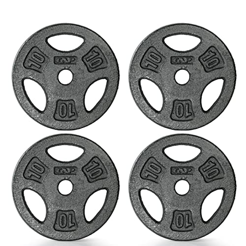 CAP Barbell Standard 1-Inch Grip Weight Plates - 10 lbs Black 4-Plate Set