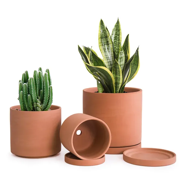 D'vine Dev Terracotta Pots for Plants, 4.2 Inch 5.3 Inch 6.5 Inch, Succulent Planter Pot with Drainage and Saucer, 40-A-S-1