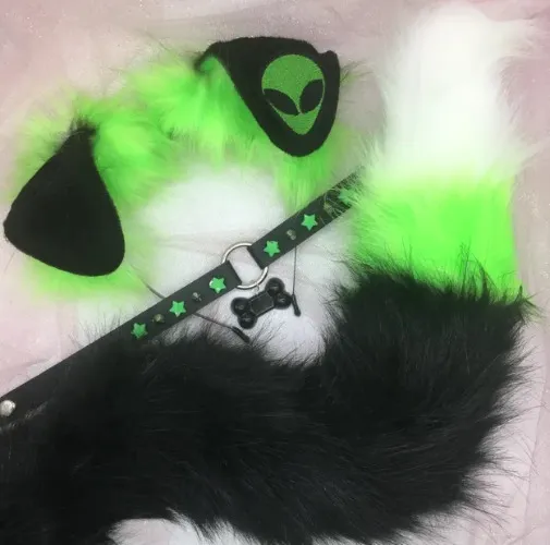 Alien Puppy Ears, Tail, & Collar