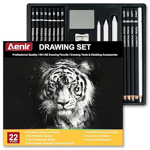 Charcoal Pencils for Drawing, Set of 22, Professional Drawing Sketch Pencils, Art Supplies for Drawing, Sketching, Shading, Artist Pencils for Beginners & Pro Artists. - Pack of 22 - Graphite Pencil - Black & White