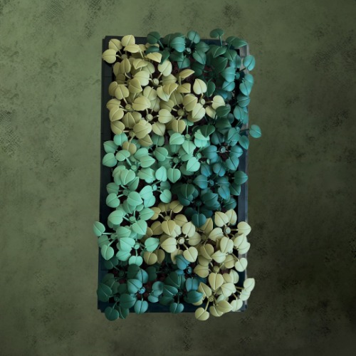 Moss Garden | Large 16" x 21" / Black Frame