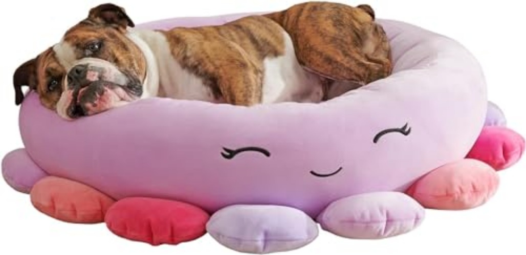 Squishmallows 24-Inch Beula Octopus Pet Bed - Medium Ultrasoft Official Squishmallows Plush Pet Bed - 24.0"L x 24.0"W x 8.0"Th