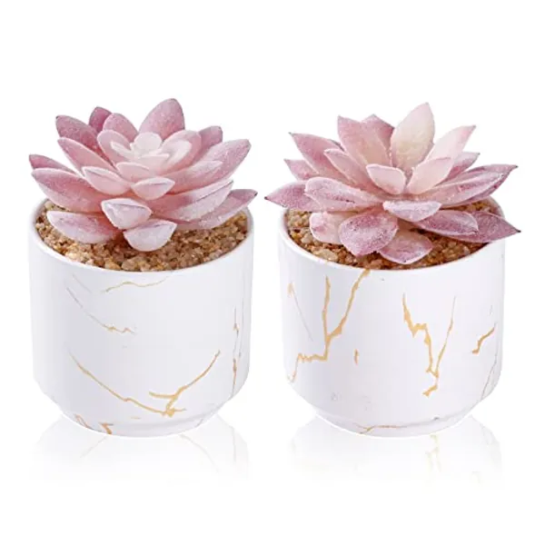 ZENIDA Artificial Plants and Succulents in 2 White Ceramic Pots,Small Fake Plants for Office and Desk Decor,Bathroom, Bedroom,Shelves for Women