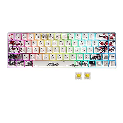 MOLGRIA GK68 68-Key RGB Backlit Gaming Keyboard with Plum Blossom Keycaps, Hot Swappable Yellow Mechinery Gateron Switches, Type C Wired Mechanical Keyboard for Win/Mac OS - Yellow Swithch - Wired