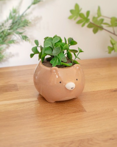 Bear planter