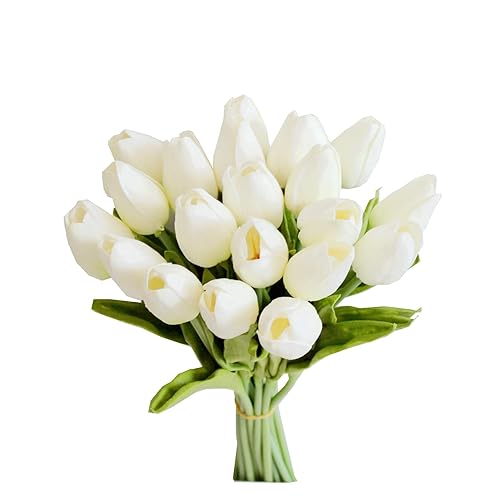 White Tulips ♡