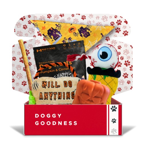 Halloween Dog Toy & Treat Box - Eye Scream Sundae & Treat's Sign / Medium