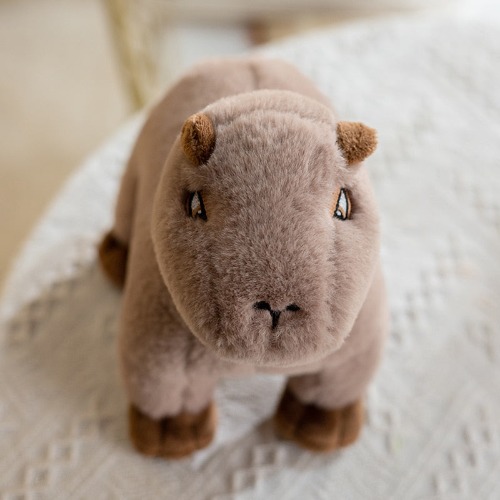 Capybara Plush