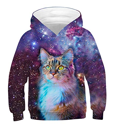 JSJCHENG 3D Animal Print Hoodies for Boys Girls Hooded Pullover Sweatshirts for 4-15 Years - Universe Cat - 13-15 Years