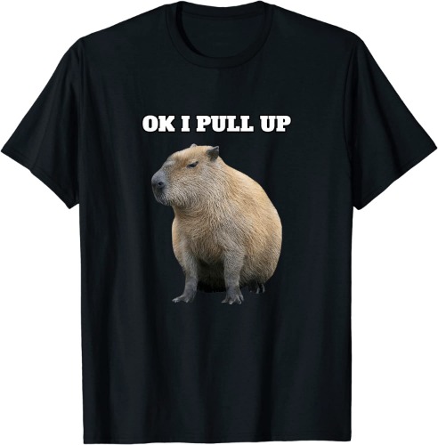 Ok I Pull Up Capybara T-Shirt