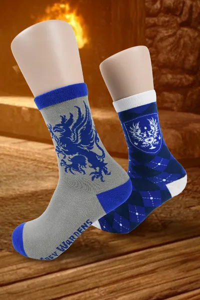 Dragon Age Grey Warden Sock Set