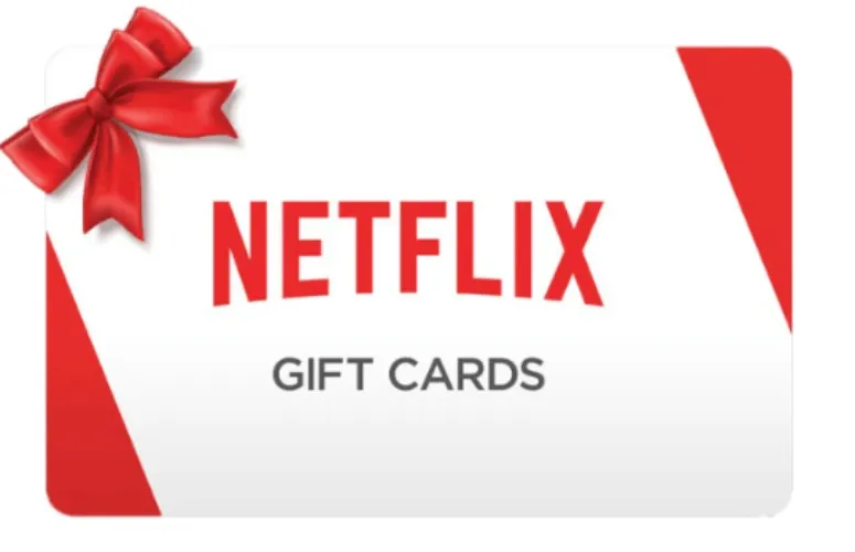 Netflix 6- Month Gift Card