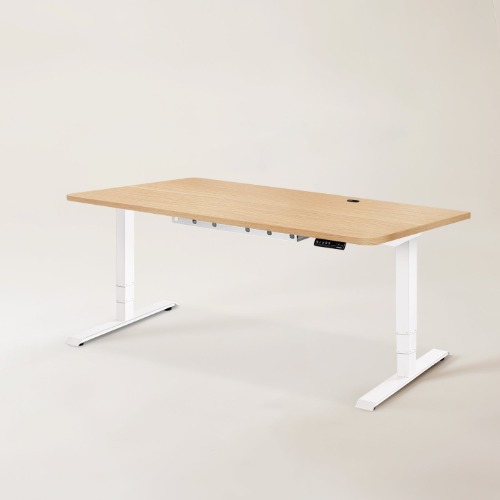 Standing Office Desk - M (59" × 29") / White / Oak Wood