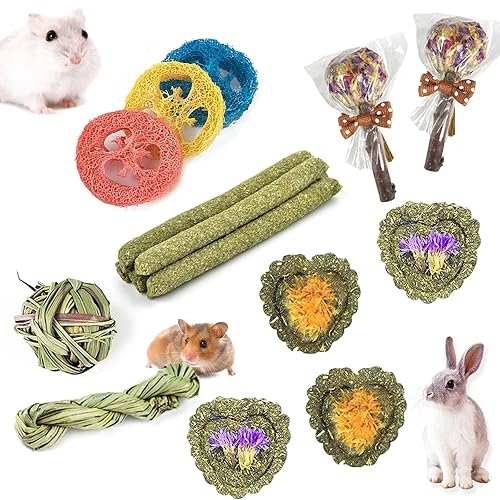 Rabbit Chew Toys for Teeth, FIPASEN 16PCS Natural Timothy Hay Chew Toy, Improve Dental Health for Bunny/Chinchilla/Guinea Pig/Hamsters/Holland Lop, Small Rodent Pet Molar Teeth Treats Toys - 13.13 g (Pack of 16)