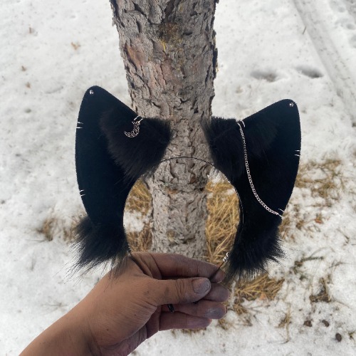 Pure Black Tall Foxos