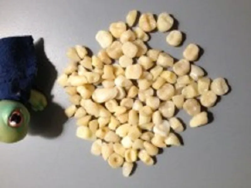 For Sale: A Bag of 50 Loose Acrylic Resin Teeth - Etsy