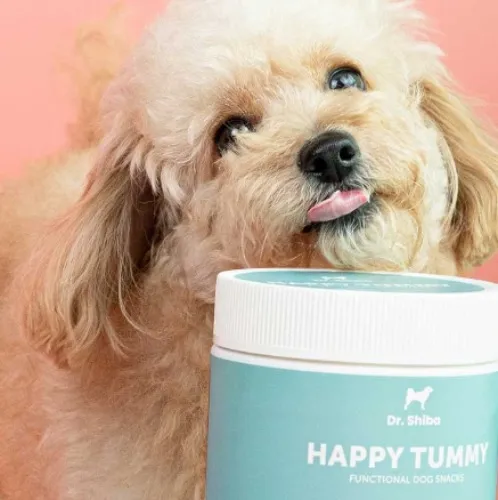 Dr Shiba Healthy Dog Treat Supplement Snacks for Pets: HAPPY TUMMY