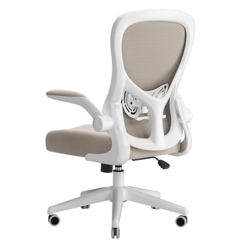 Hbada Ergonomic Desk Chair, Computer Office Chair with Flip-up Armrest&Lumbar Support, Adjustable Height, Grey - Gray