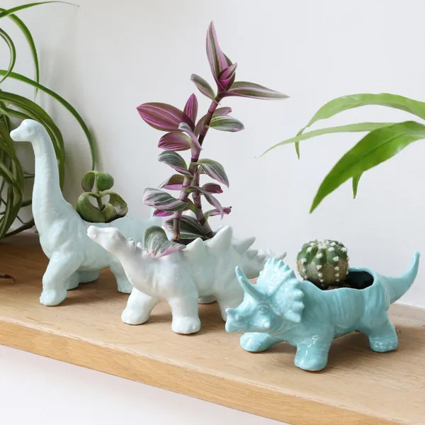 Dinosaurier Übertopf • Triceratops • Diplodocus • Stegosaurus • H6cm/8cm / 8,5cm • Sukkulenten Pflanzentopf • Keramik Homeware
