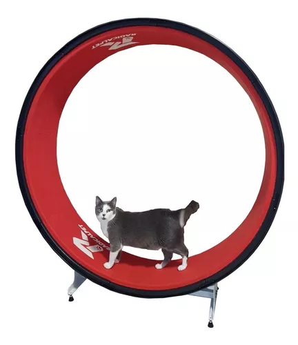 Cat Wheel