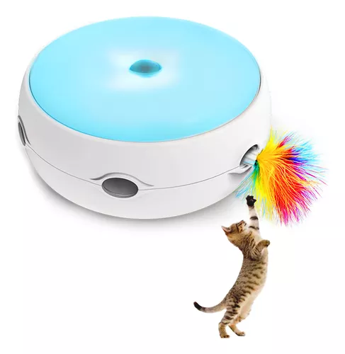 Cat automatic Toy